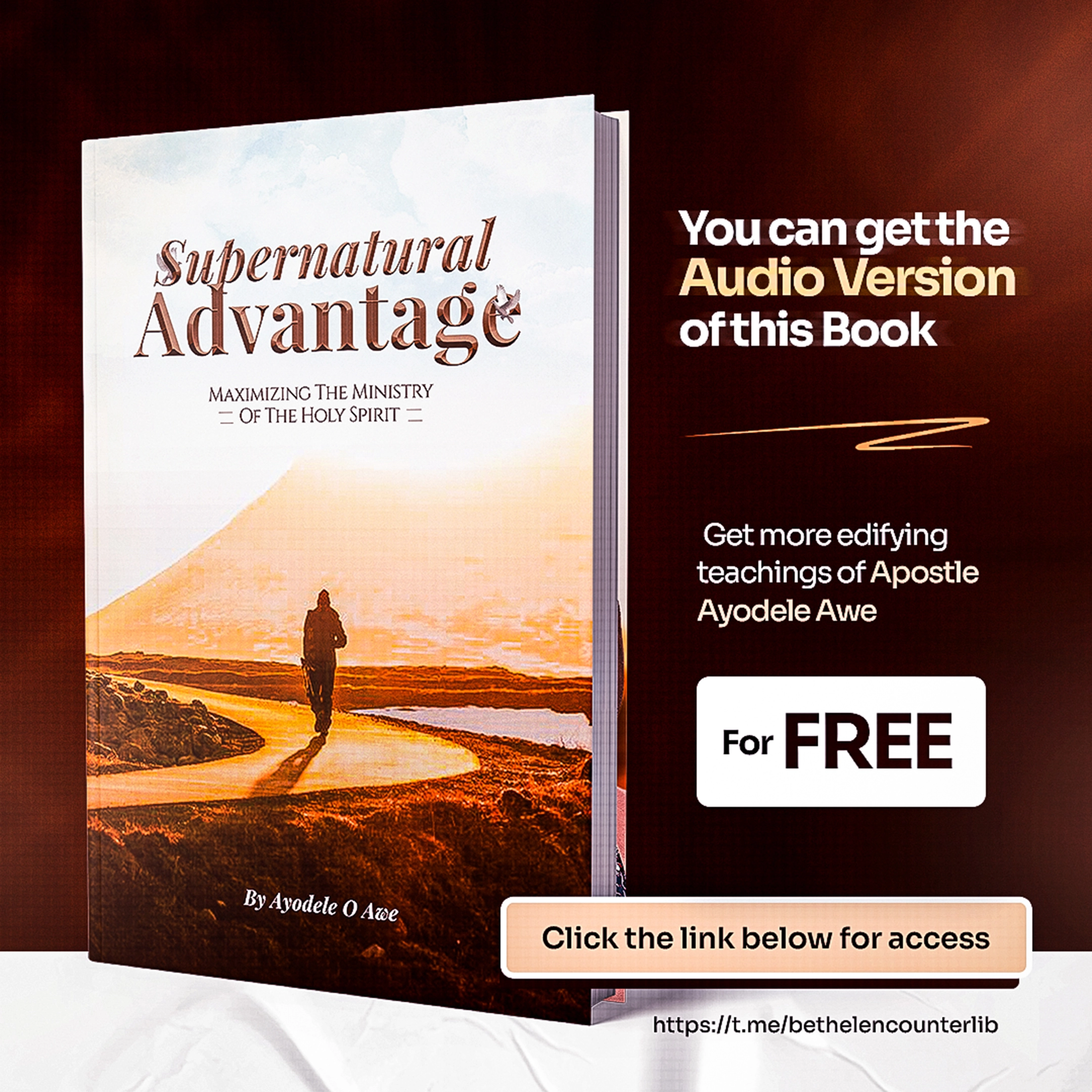 A book cover designed to visually express the believer's journey with the
                        Holy Spirit, capturing the promise of divine guidance, purpose, and spiritual
                        transformation.